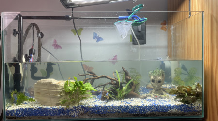 aquarium Aquarium 100L