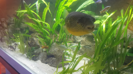 Vais bientôt jardiner je pense...