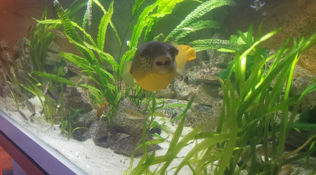 Vais bientôt jardiner je pense...