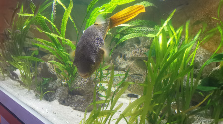 Vais bientôt jardiner je pense...