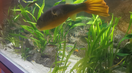 Vais bientôt jardiner je pense...