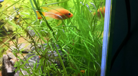 Nouvel arrivant... Et surprise du matin !