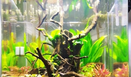 aquarium AMTRA 90L