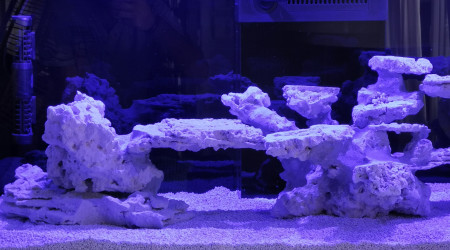 aquarium Red sea reffer 350 v3