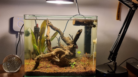 aquarium 20l