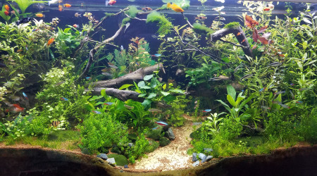 aquarium 360 l