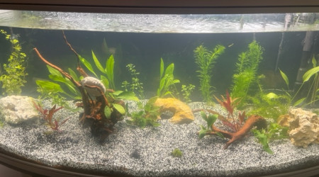 aquarium New Bac 250 L