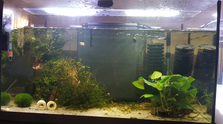 aquarium Aqua 50L