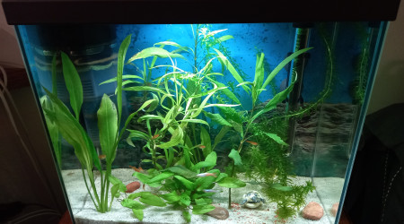 aquarium Seb288
