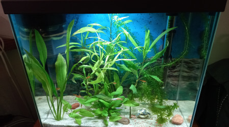 aquarium Seb288