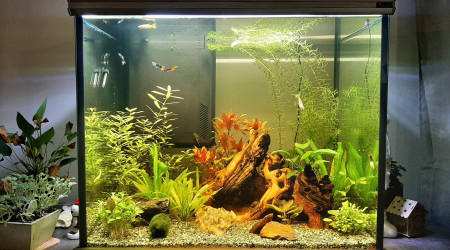 Premières évolutions...