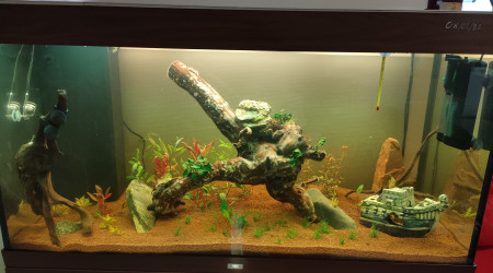 aquarium Juwel Rio 300