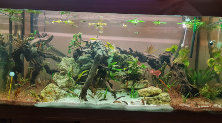 aquarium 350L