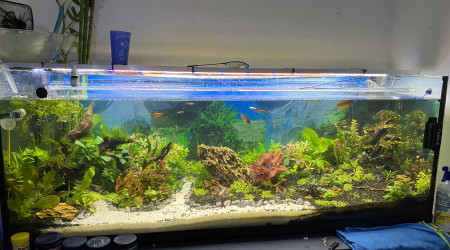 aquarium 380l