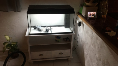 Installation de l’aquarium