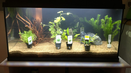 Aquarium rempli