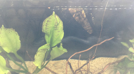 Grosse bulle d’air sur le poster