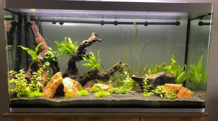 aquarium 350L