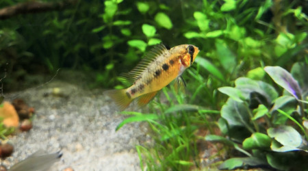 Mademoiselle prend des couleurs.