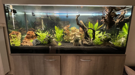 aquarium EHEIM VIVALINE 240L