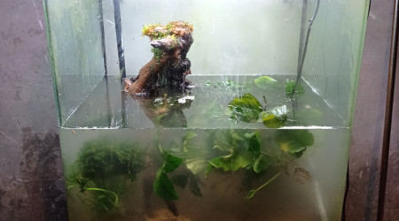 On commence à remplir