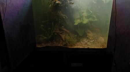 Rempli et filtre lancé