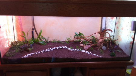 Plus qu'à mettre l'eau