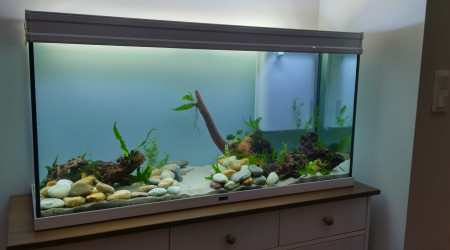 aquarium 240 l