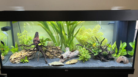 aquarium Rio 240