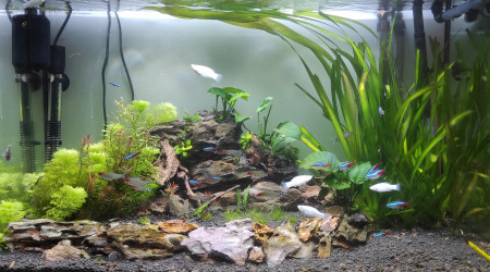 aquarium aquarium 180l