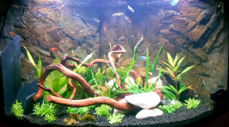 Petite réorganisation.