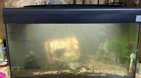 aquarium Nouveau départ