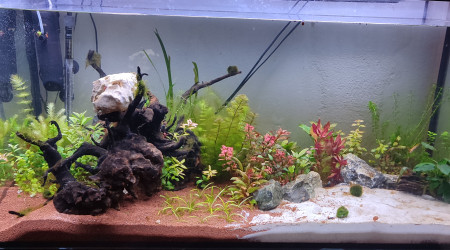 aquarium 360L