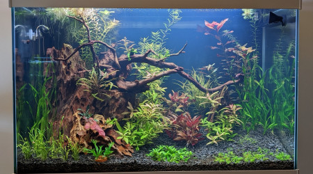 Pose des rails pour le couvercle verre