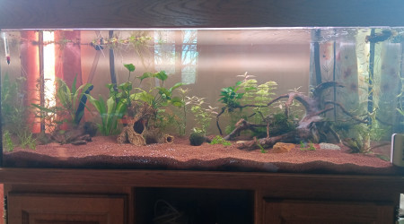 Les plantes ont bien poussé.