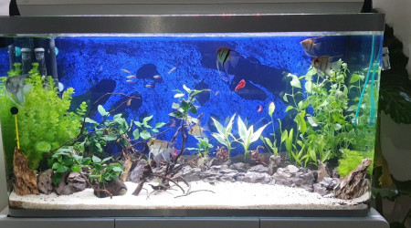 aquarium Ozaka360l
