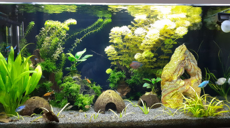 Alors en tant que débutant, merci à tous ceux qui m'ont aidé,  c'est pour cela que j'en suis là...