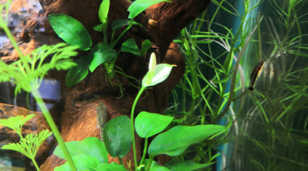 Ça sent le printemps