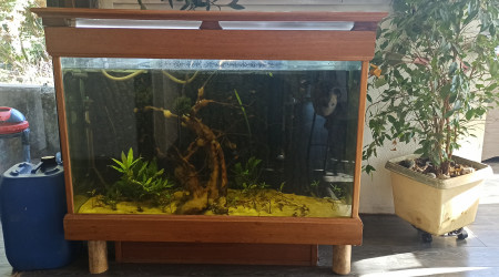 Aquarium 300l