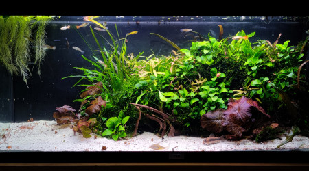 Grosse Session de jardinage