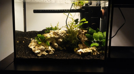 aquarium Aquarium 20L