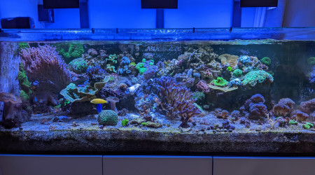 Petite réorganisation