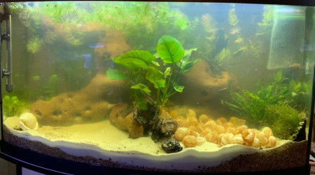 180 litres 2022 02 03