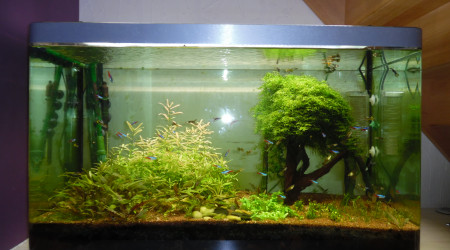 aquarium Osaka