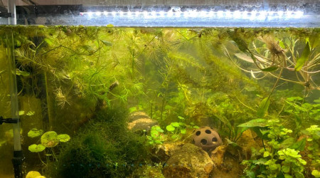 60 litres 04/03/2022