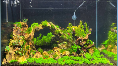 aquarium 96L bac 2