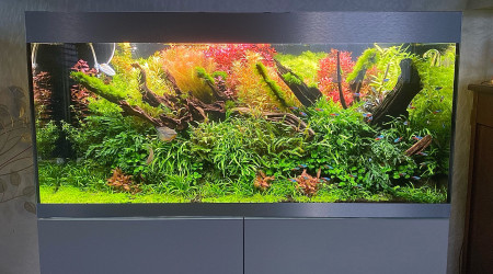 aquarium 300L NA Aquascaping communautaire