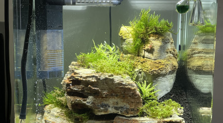 J+23 après mise en eau