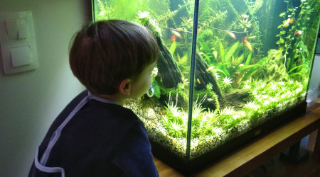 Moment calme avant le coucher...