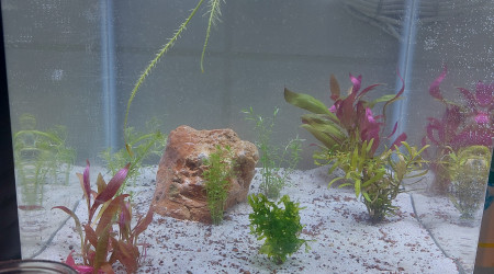 aquarium Aquatest sol maison